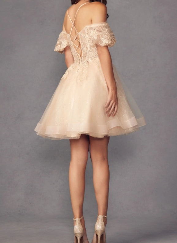 Puff-Sleeve Short A-Line Shimmer Prom Dress Party Dress