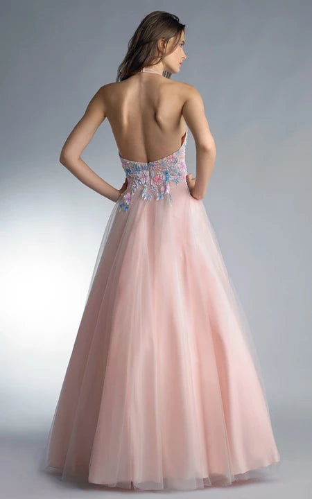 A-line Floor-length Halter Sleeveless Tulle Backless Prom Dress/Formal Women's Dresses