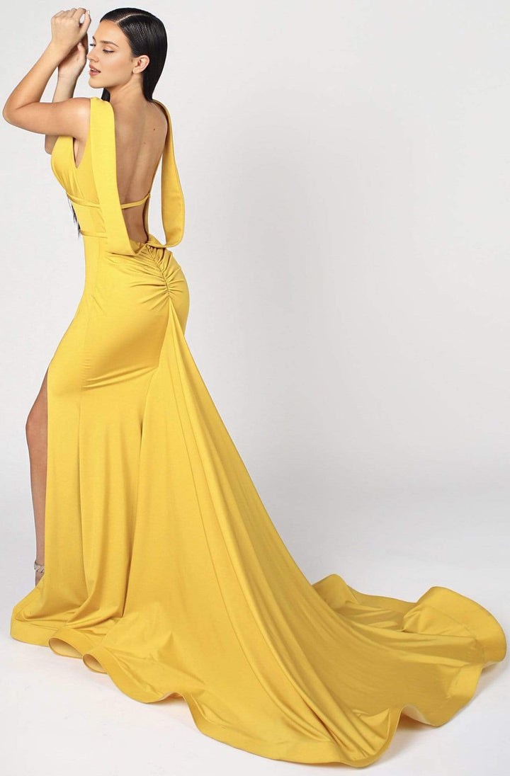Dressesgowns Evening Dresses/ Sleeveless Low Cut Open Back Plunging Neck High Slit Long Train Mermaid Prom Gown/ Prom Dresses Stores