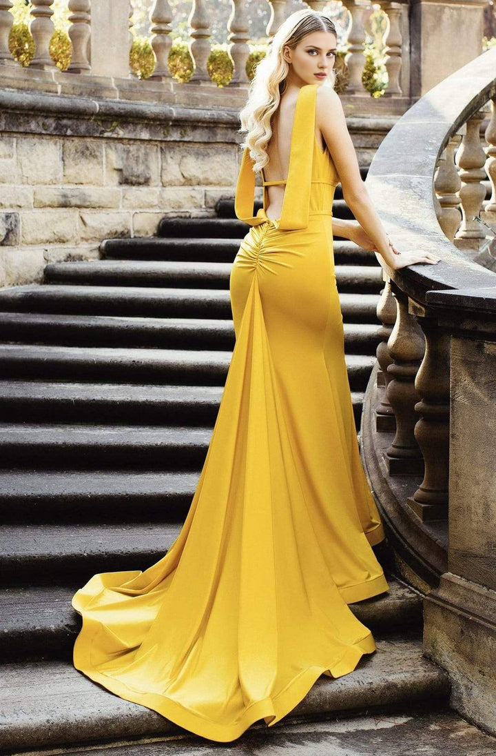 Dressesgowns Evening Dresses/ Sleeveless Low Cut Open Back Plunging Neck High Slit Long Train Mermaid Prom Gown/ Prom Dresses Stores