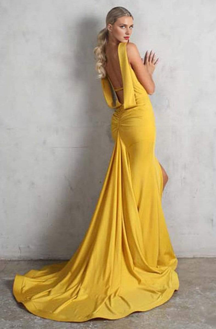 Dressesgowns Evening Dresses/ Sleeveless Low Cut Open Back Plunging Neck High Slit Long Train Mermaid Prom Gown/ Prom Dresses Stores