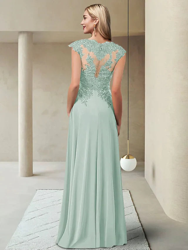 Back view of the Mother of the Bride dress showing pleated chiffon skirt and appliques.