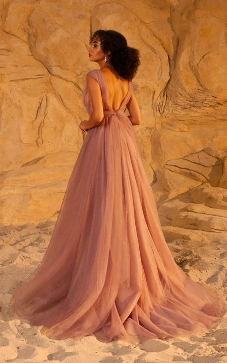 Plunged Chiffon Cap Empire Pleated A-line Prom Dress With Bow And Low-V Back Sweep/Brush Train
