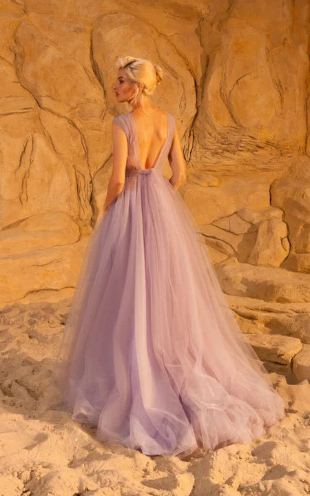 Plunged Chiffon Cap Empire Pleated A-line Prom Dress With Bow And Low-V Back Sweep/Brush Train