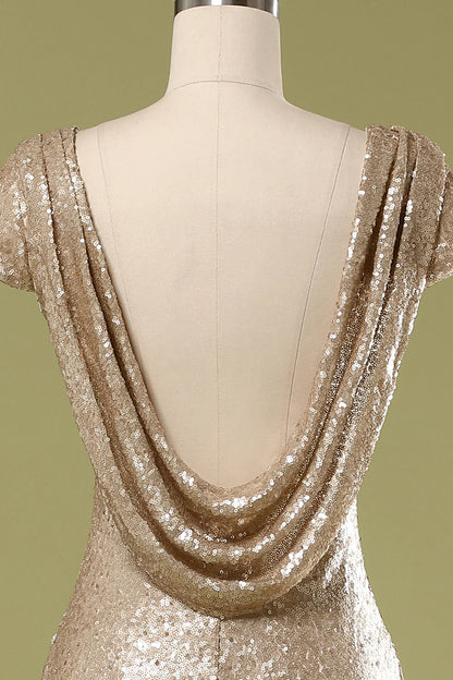 Mermaid Sequins Floor-length Backless Prom Dress Evening Dress