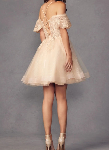Puff-Sleeve Short A-Line Shimmer Prom Dress Party Dress