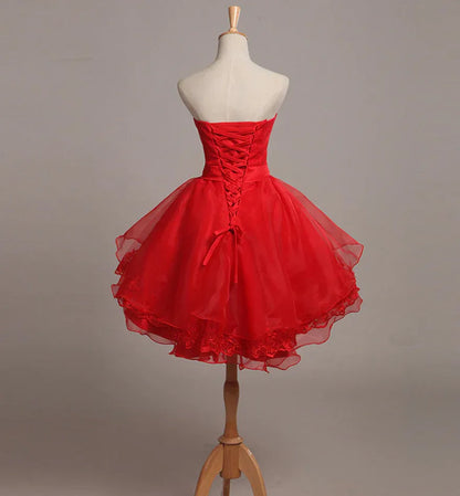 Cute A-Line Sweetheart Sleeveless Tulle Lace Short-Mini Homecoming Dress