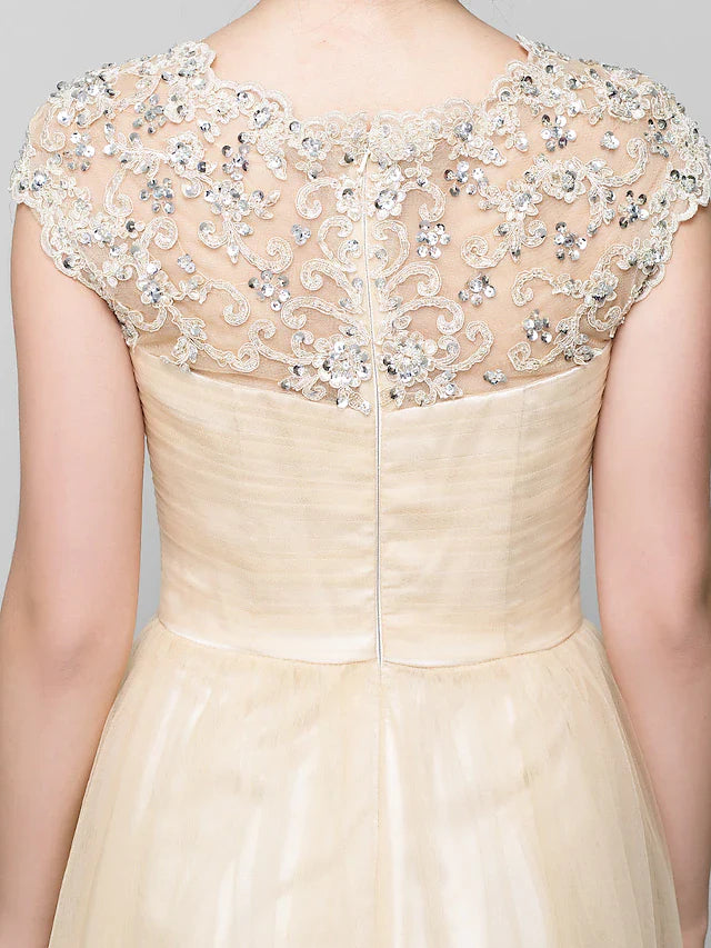 Full length view of A-Line tulle dress with sheer jewel neckline.