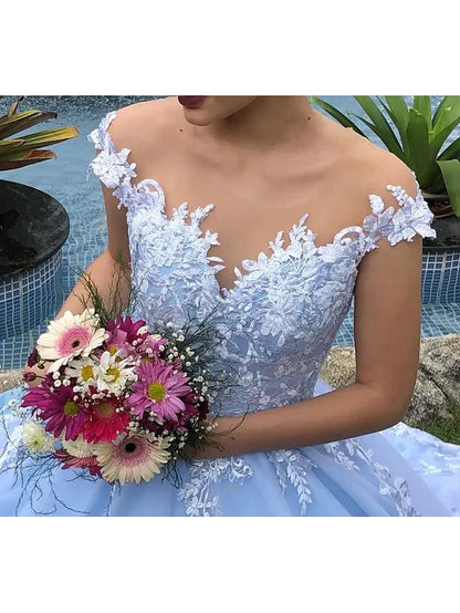 Back view of the ball gown wedding dress, showcasing the intricate lace and long court train.