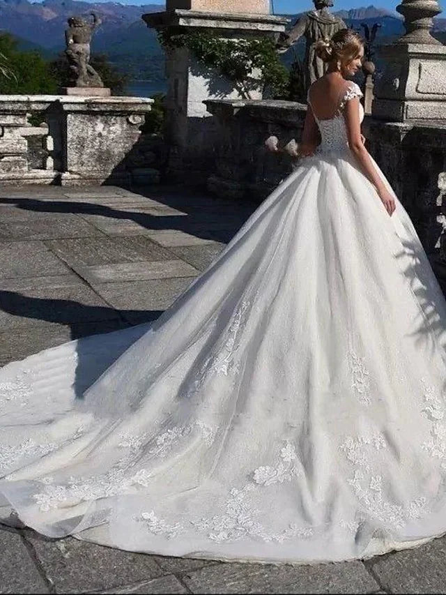Close-up of the back of the ball gown wedding dress, showcasing intricate lace appliques and illusion detail.