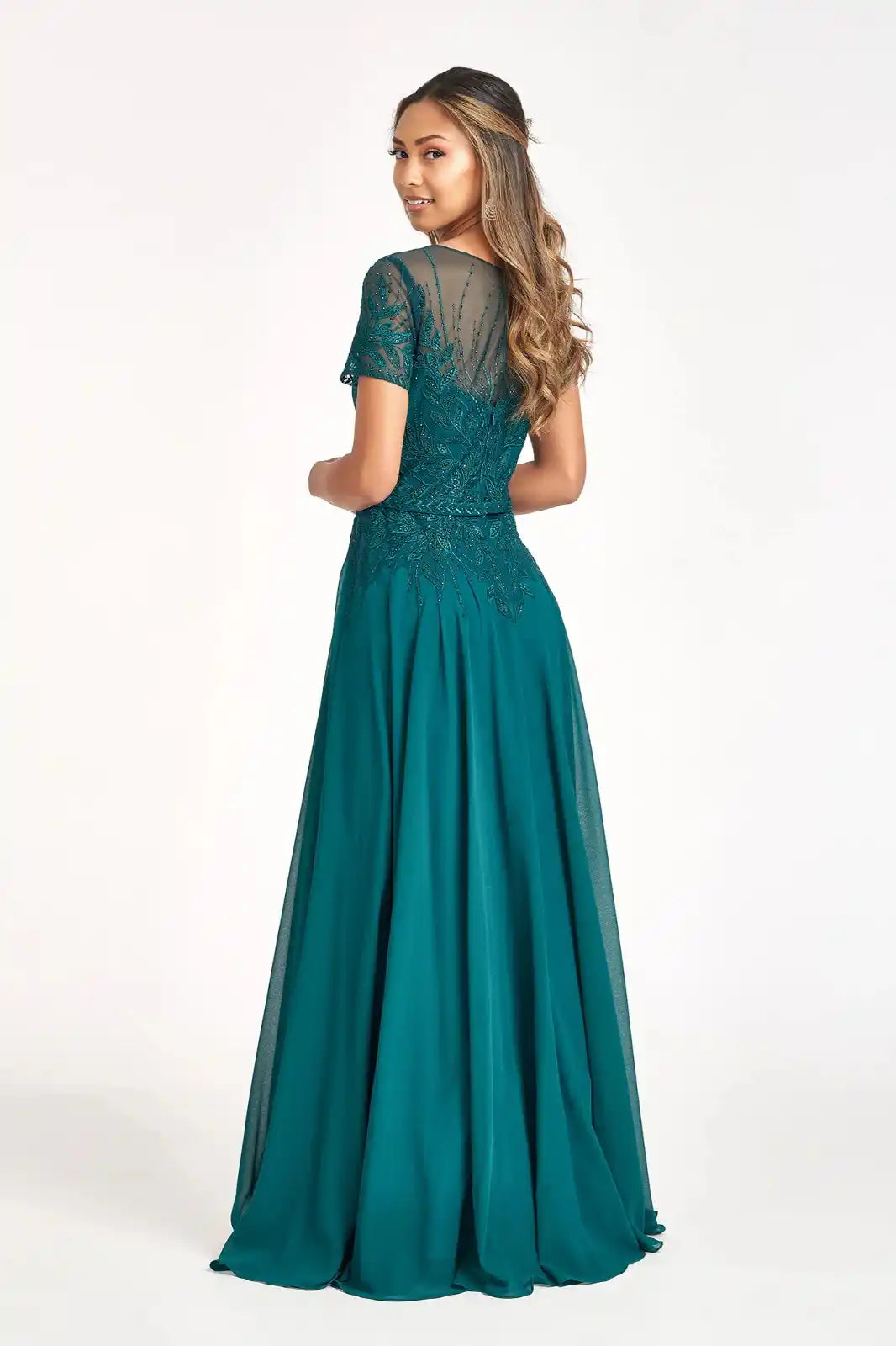 Embroidered Chiffon A-line Dress Short Sleeves and Waistband