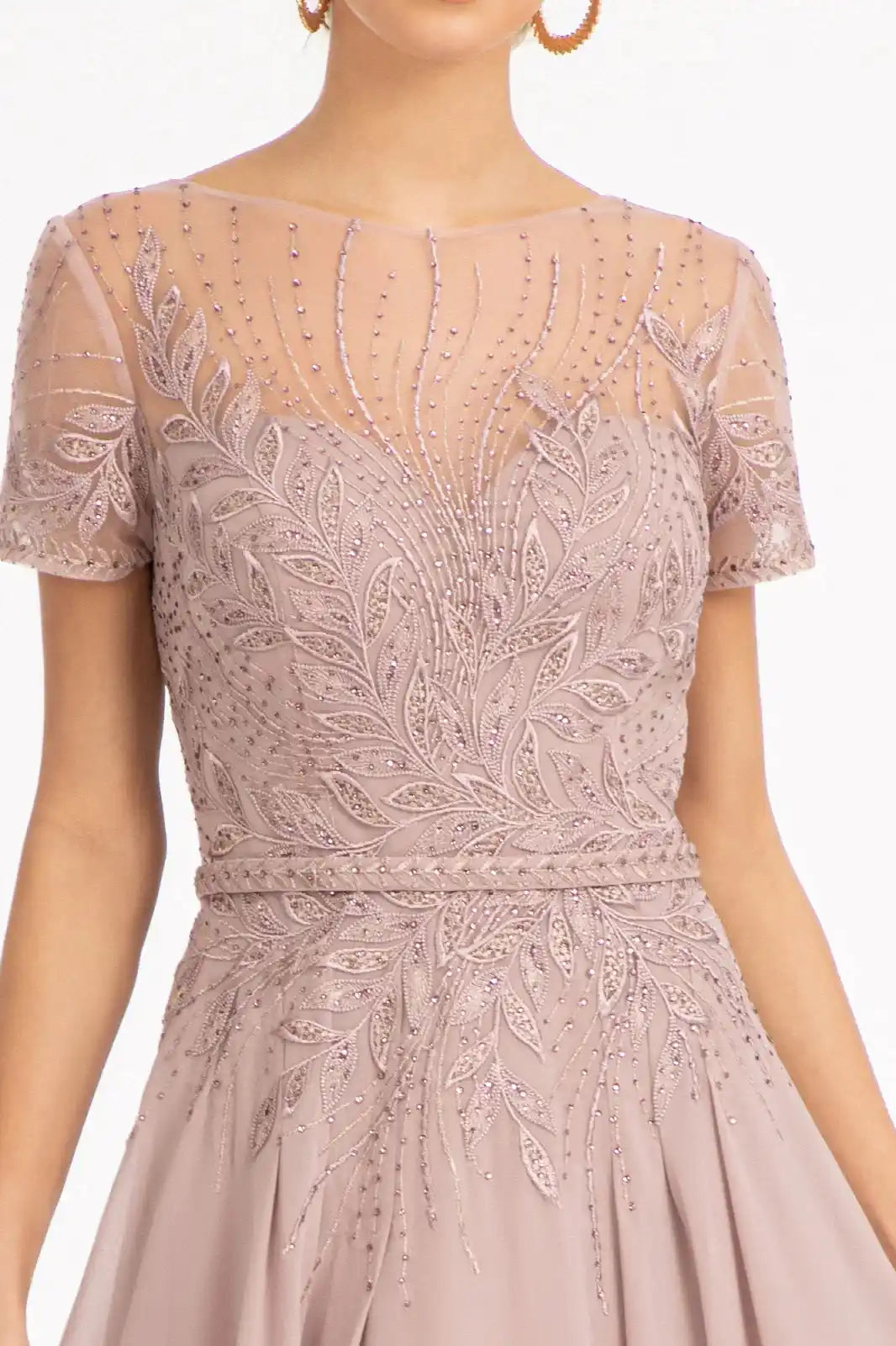 Embroidered Chiffon A-line Dress Short Sleeves and Waistband