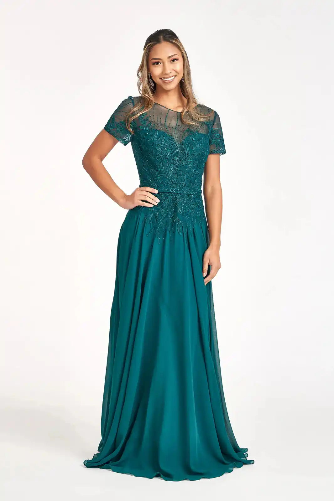 Embroidered Chiffon A-line Dress Short Sleeves and Waistband
