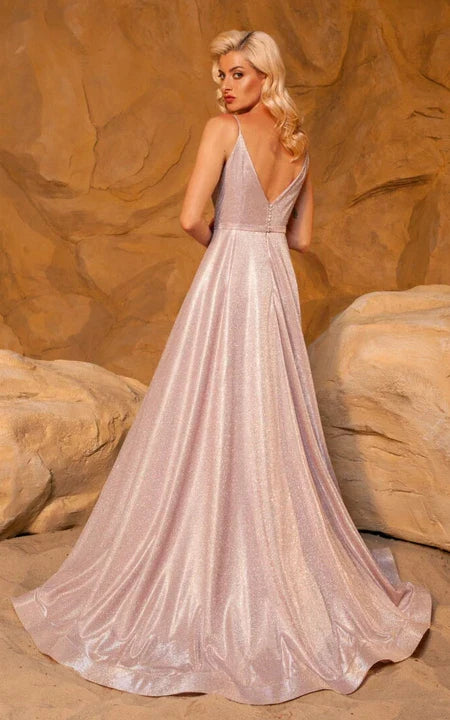 Spaghetti Straps Blush Spaghetti Empire A-line Sequin Formal Sweep/Brush Train Low-V Back Prom Dress