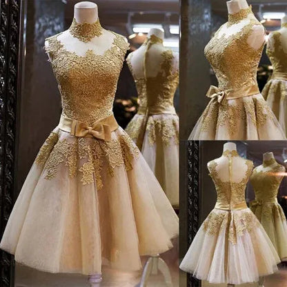 Vintage A-Line High Neck Sleeveless Lace Pleated Short-Mini Homecoming Dress